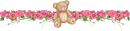 Teddy Bear Divider