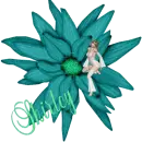 Shirley