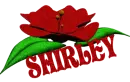 Shirley