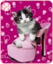 kitty