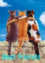 best friends cats