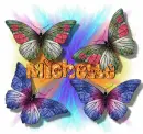 Michelle butterflies