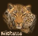 Michelle tiger