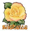 Michelle yellow rose