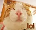 lol