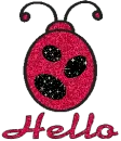 Hello Ladybug