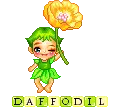 Daffodil Blinkie