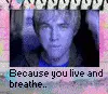 Jesse McCartney