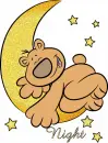 Night