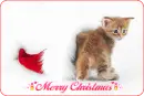 Merry Christmas!