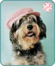 pink cap