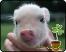 lucky
