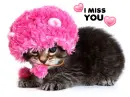 miss you