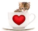 red heart