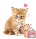 cat food