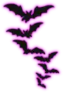 Bats