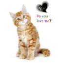 do you love me?