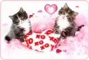 kittens