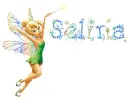 tinkerbell selina