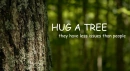 hug a tree