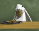 Bunny Cookie ^^