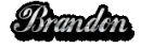 brandon