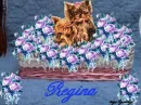 regina