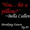 Bit A Pillow