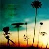 wild flower