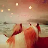 couple horse