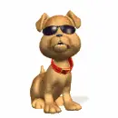 Sunny Dog