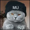 catscs