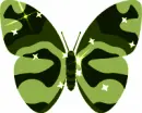 Butterfly: Carla