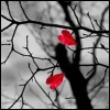 2 red hearts