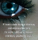 if tears could build a stairway