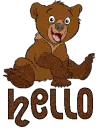 HELLO-BEAR