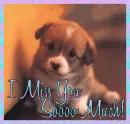 I Miss You Soooo Much!