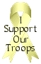 i support our troops