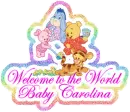 Baby Carolina