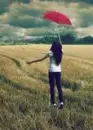 umbrella
