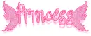pink wings princess