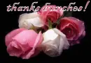thanks bunches