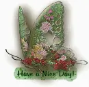 Nice Day