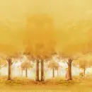 LOVELY FALL