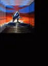 crazy dragon doplphin
