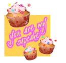 You are my cupcake!