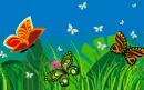 Colorful Butterflies
