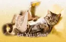 Get Well Soon!