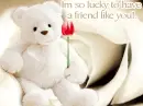 friends forever