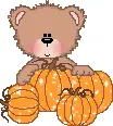 Pumpkin Bear
